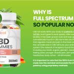 Clinical CBD Gummies